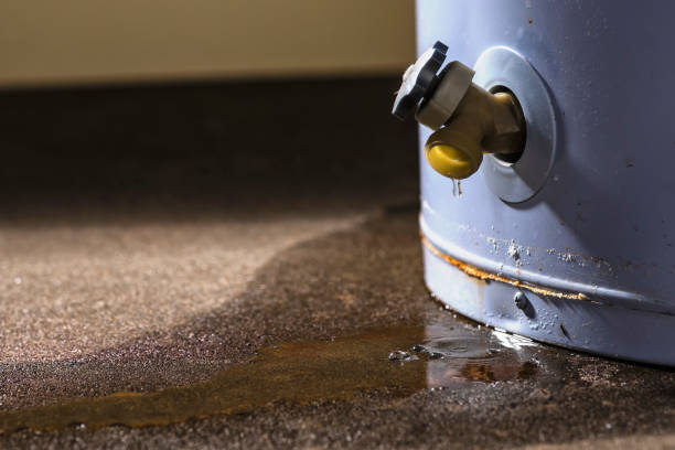 Best Local water damage restoration  in Towamensing Trails, PA