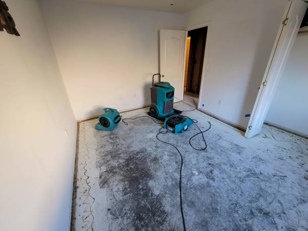 Best Carpet water damage restoration  in Towamensing Trails, PA