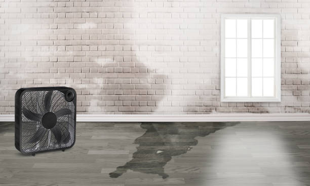 Best Water damage restoration near me  in Towamensing Trails, PA