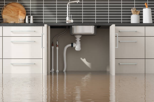 Best Residential water damage restoration  in Towamensing Trails, PA